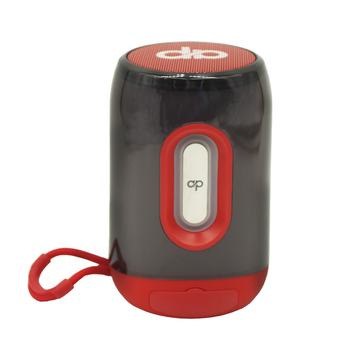 Parlante Portatil BT Led SD/USB/Tipo-C/FM Audiopro AP02105R Audiopro